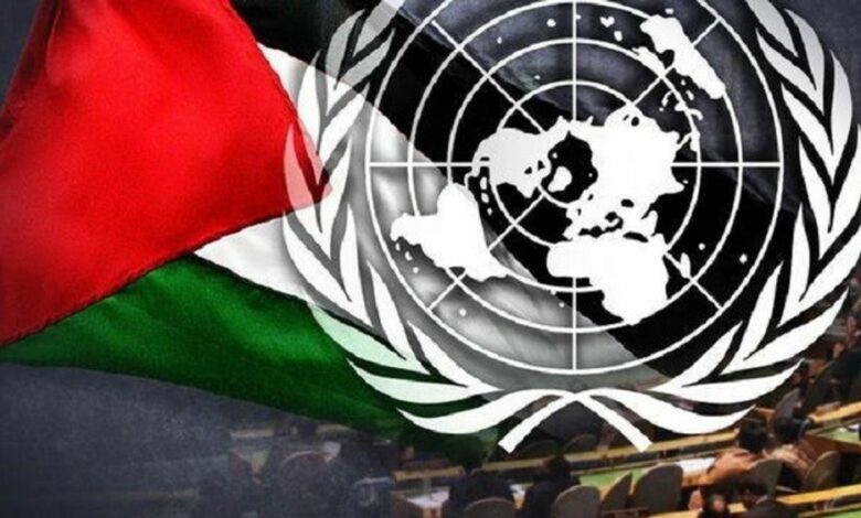 الميثاق الدولي وعضوية فلسطين في الامم المتحدة