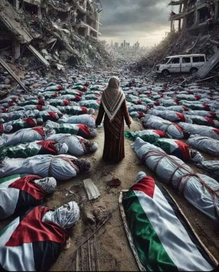 موقفنا من القضية الفلسطينية ليس موقفا عابرا أو طارئا